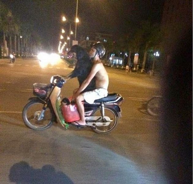 Bildschirmarbeiter - Picdump 06.06.2014