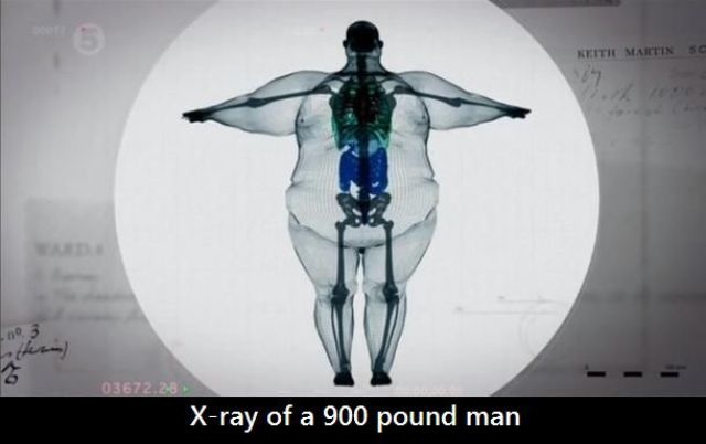 Bildschirmarbeiter - Picdump 20.06.2014