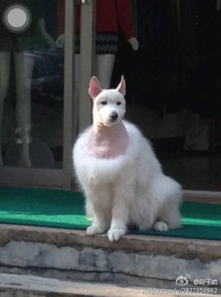 Bildschirmarbeiter - Picdump 20.06.2014