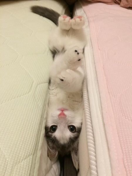 Bildschirmarbeiter - Picdump 20.06.2014