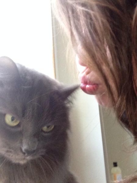 Bildschirmarbeiter - Picdump 20.06.2014