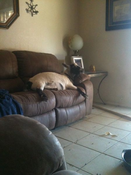 Bildschirmarbeiter - Picdump 20.06.2014