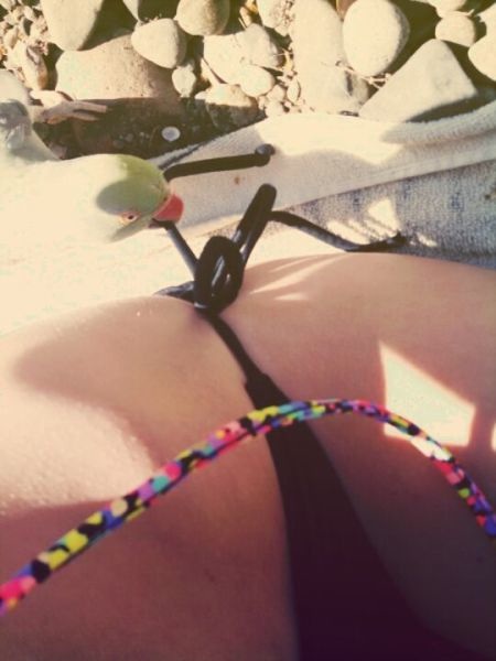 Bildschirmarbeiter - Picdump 20.06.2014