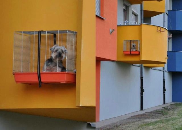 Bildschirmarbeiter - Picdump 20.06.2014