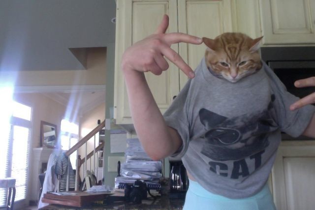 Bildschirmarbeiter - Picdump 20.06.2014