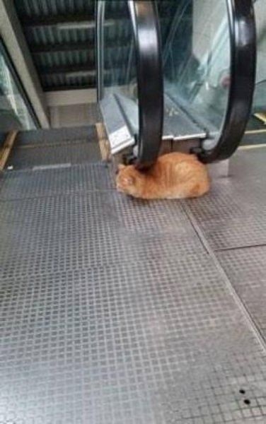 Bildschirmarbeiter - Picdump 20.06.2014