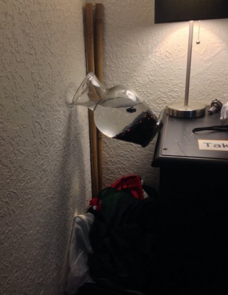 Bildschirmarbeiter - Picdump 20.06.2014