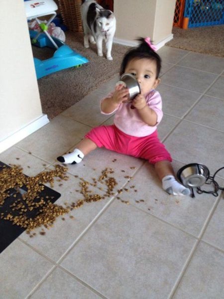 Bildschirmarbeiter - Picdump 20.06.2014