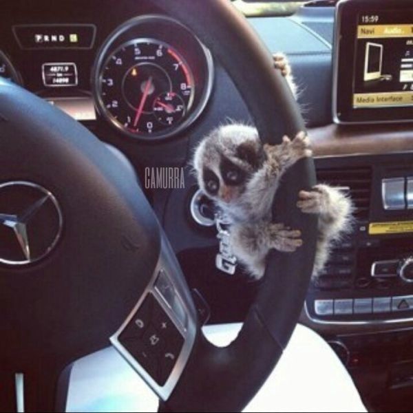 Bildschirmarbeiter - Picdump 20.06.2014