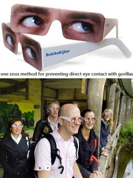 Bildschirmarbeiter - Picdump 20.06.2014