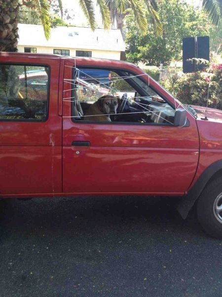 Bildschirmarbeiter - Picdump 20.06.2014