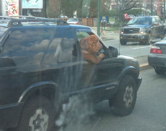 Bildschirmarbeiter - Picdump 20.06.2014