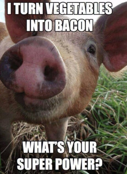 Bildschirmarbeiter - Picdump 20.06.2014