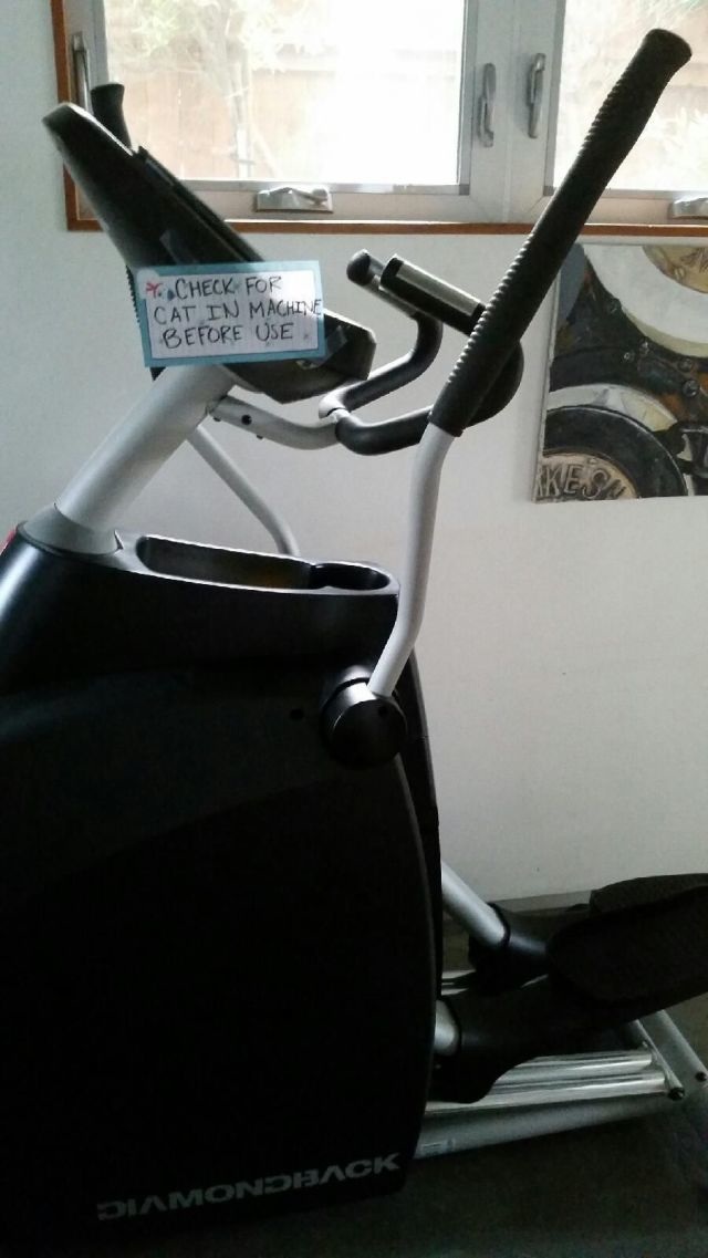 Bildschirmarbeiter - Picdump 20.06.2014