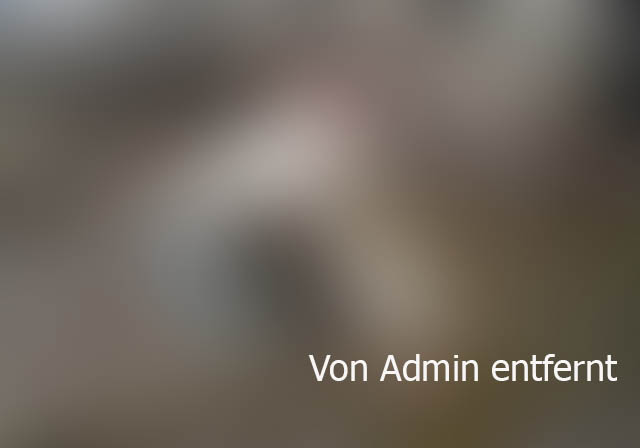 Bildschirmarbeiter - Picdump 20.06.2014