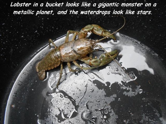 Bildschirmarbeiter - Picdump 20.06.2014