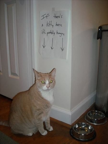 Bildschirmarbeiter - Picdump 27.06.2014