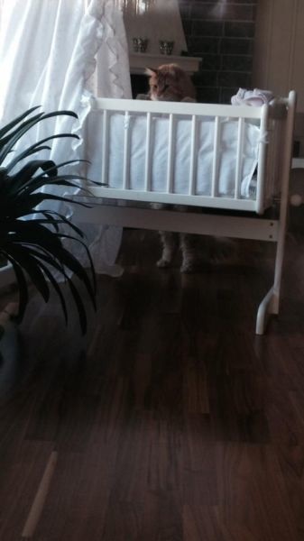 Bildschirmarbeiter - Picdump 27.06.2014