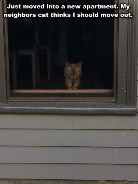 Bildschirmarbeiter - Picdump 27.06.2014