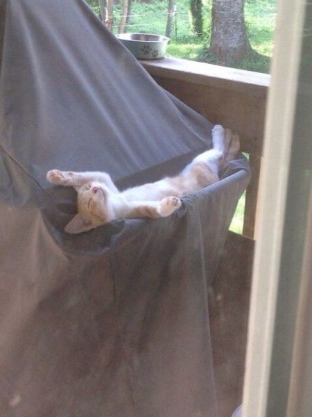 Bildschirmarbeiter - Picdump 27.06.2014