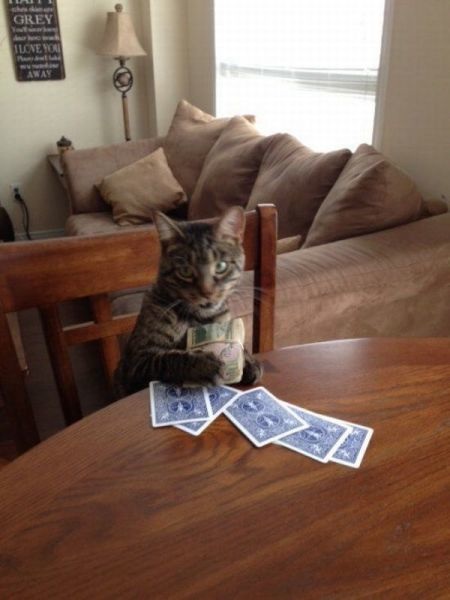 Bildschirmarbeiter - Picdump 27.06.2014