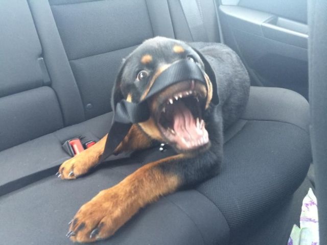 Bildschirmarbeiter - Picdump 27.06.2014