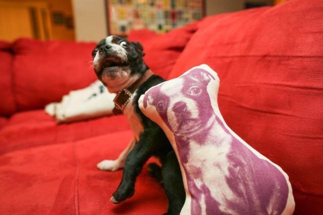 Bildschirmarbeiter - Picdump 27.06.2014