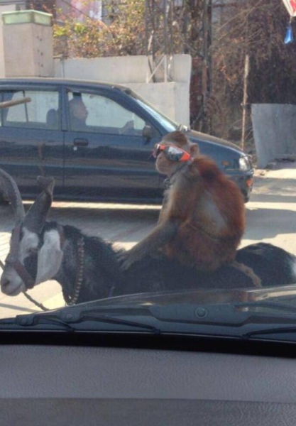 Bildschirmarbeiter - Picdump 27.06.2014