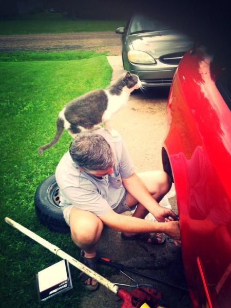 Bildschirmarbeiter - Picdump 27.06.2014