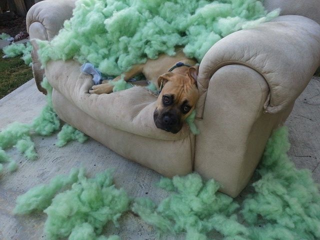 Bildschirmarbeiter - Picdump 27.06.2014