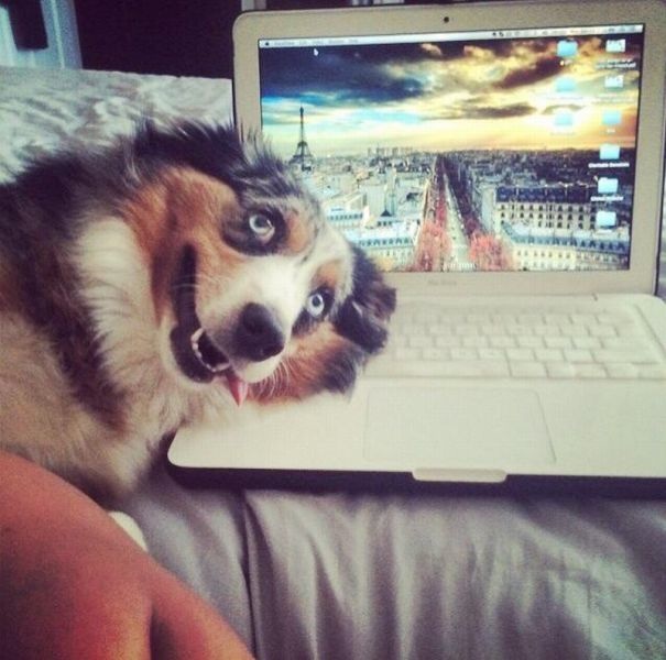 Bildschirmarbeiter - Picdump 27.06.2014