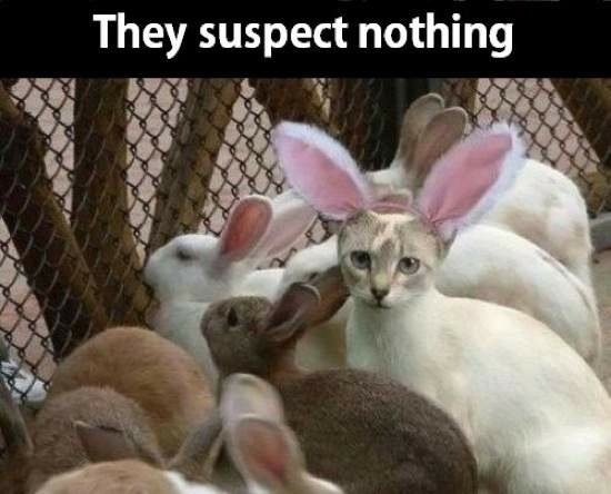 Bildschirmarbeiter - Picdump 27.06.2014