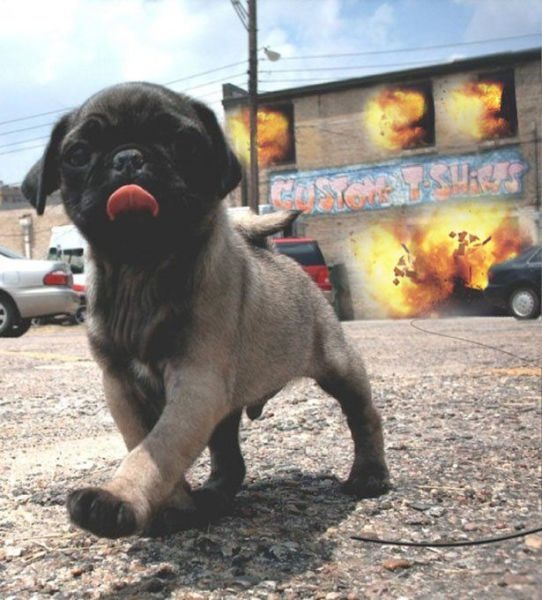 Bildschirmarbeiter - Picdump 27.06.2014