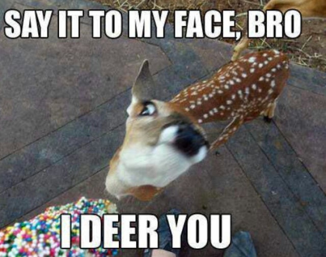 Bildschirmarbeiter - Picdump 27.06.2014