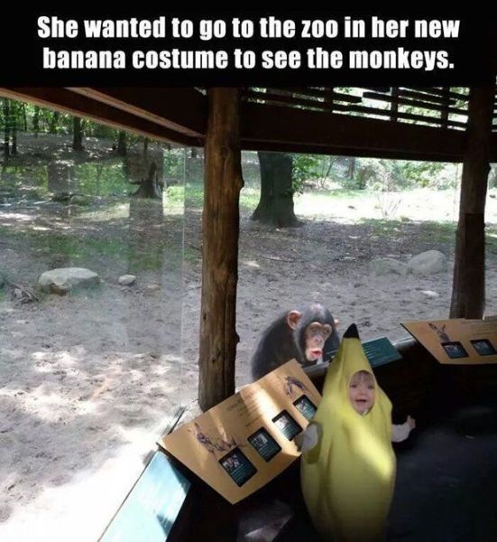 Bildschirmarbeiter - Picdump 27.06.2014