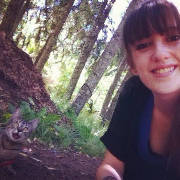 Bildschirmarbeiter - Picdump 27.06.2014