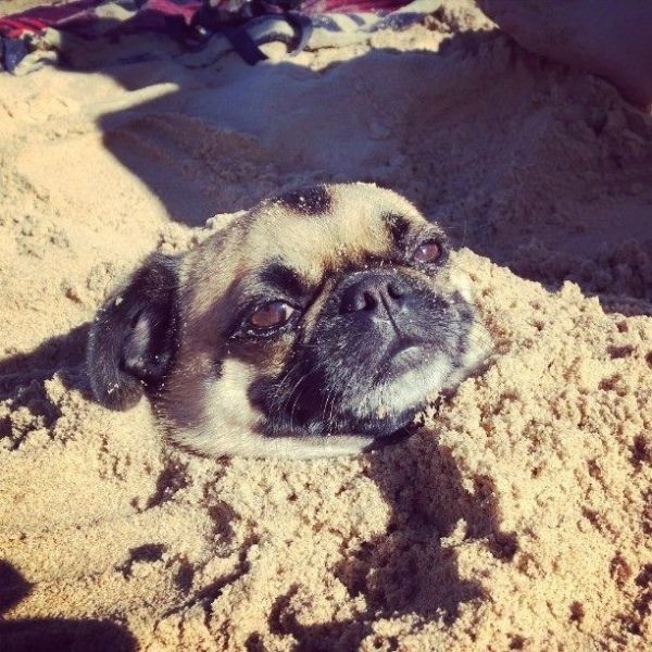 Bildschirmarbeiter - Picdump 27.06.2014