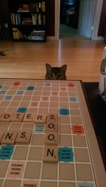 Bildschirmarbeiter - Picdump 11.07.2014