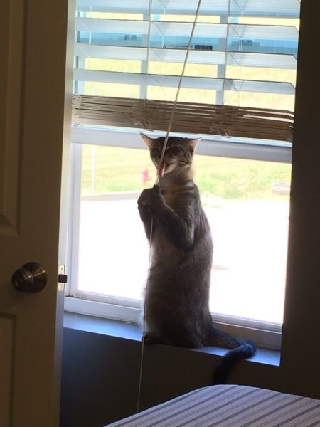 Bildschirmarbeiter - Picdump 11.07.2014