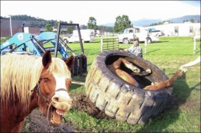 Bildschirmarbeiter - Picdump 11.07.2014