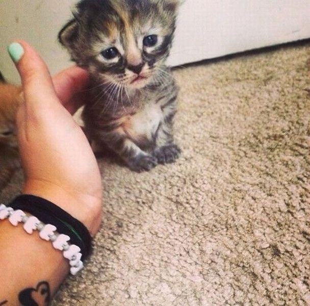 Bildschirmarbeiter - Picdump 11.07.2014