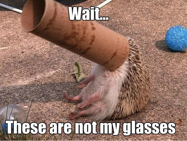 Bildschirmarbeiter - Picdump 11.07.2014