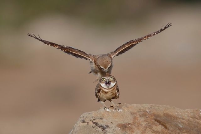 Bildschirmarbeiter - Picdump 18.07.2014