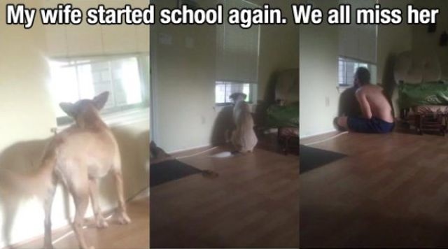 Bildschirmarbeiter - Picdump 18.07.2014