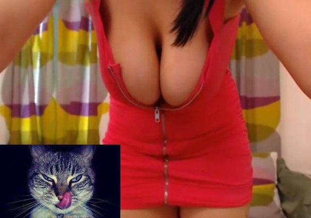 Bildschirmarbeiter - Picdump 18.07.2014