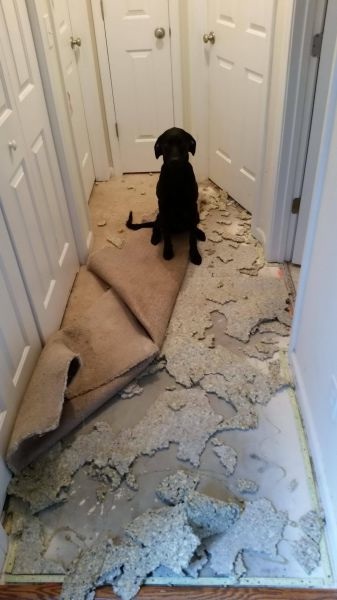 Bildschirmarbeiter - Picdump 18.07.2014