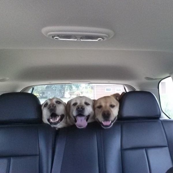 Bildschirmarbeiter - Picdump 18.07.2014