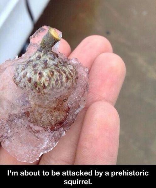 Bildschirmarbeiter - Picdump 18.07.2014