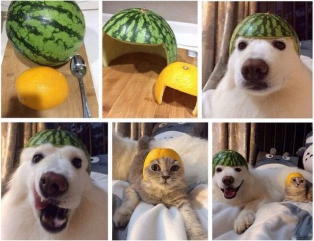 Bildschirmarbeiter - Picdump 18.07.2014