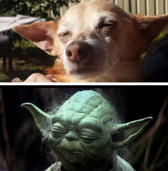 Bildschirmarbeiter - Picdump 18.07.2014